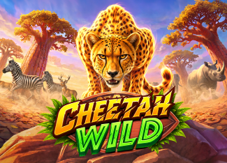 Cheetah Wild - GECKO158